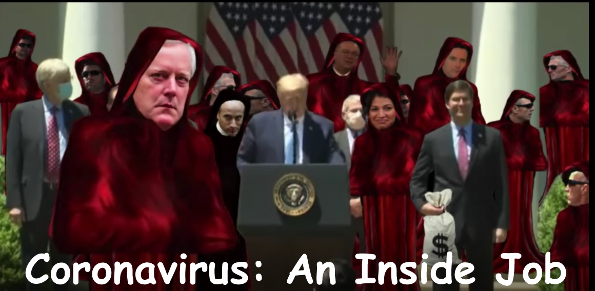 coronavirus--inside job